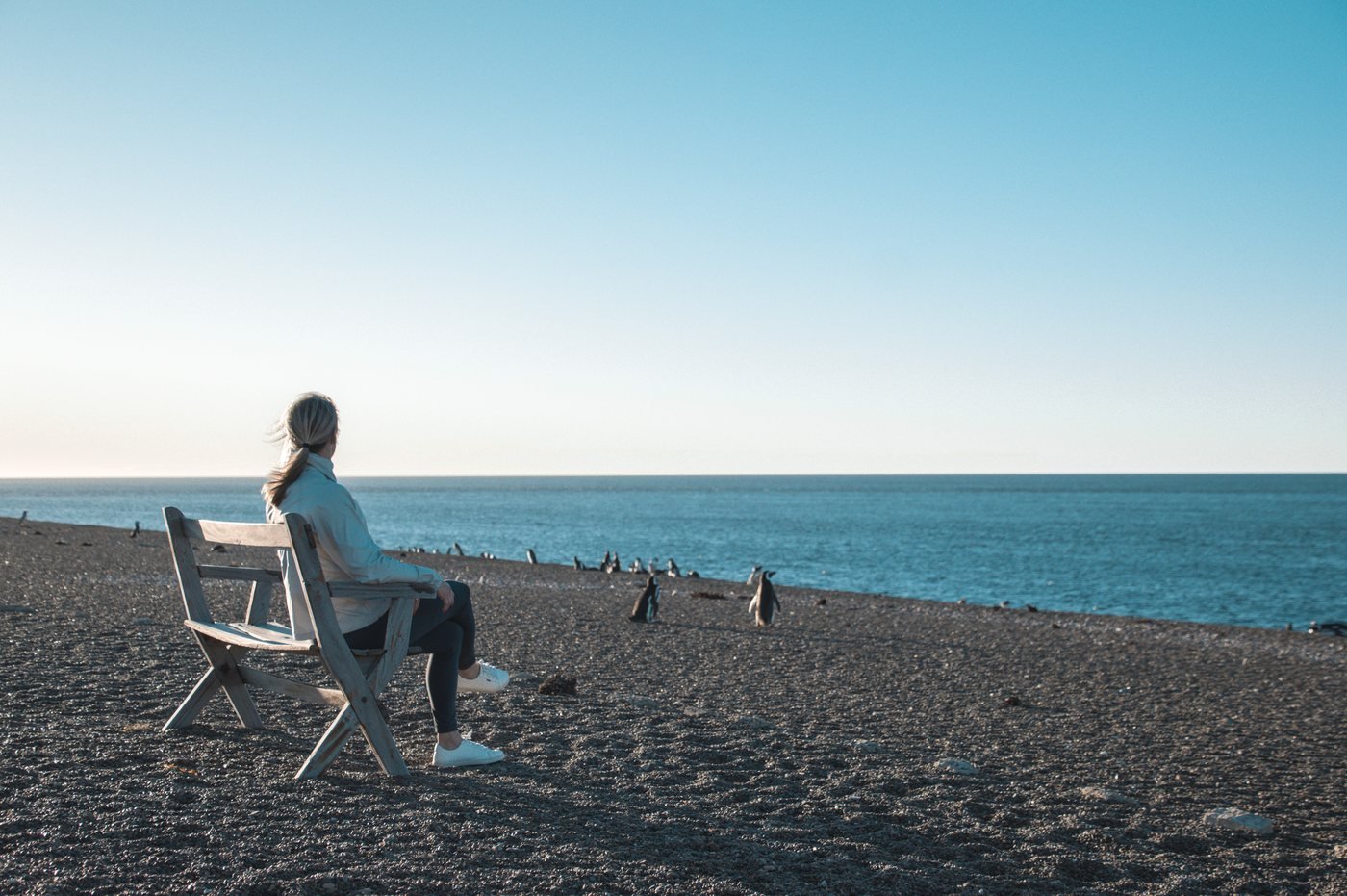 Viajante sentada na praia observando uma colônia de pinguins