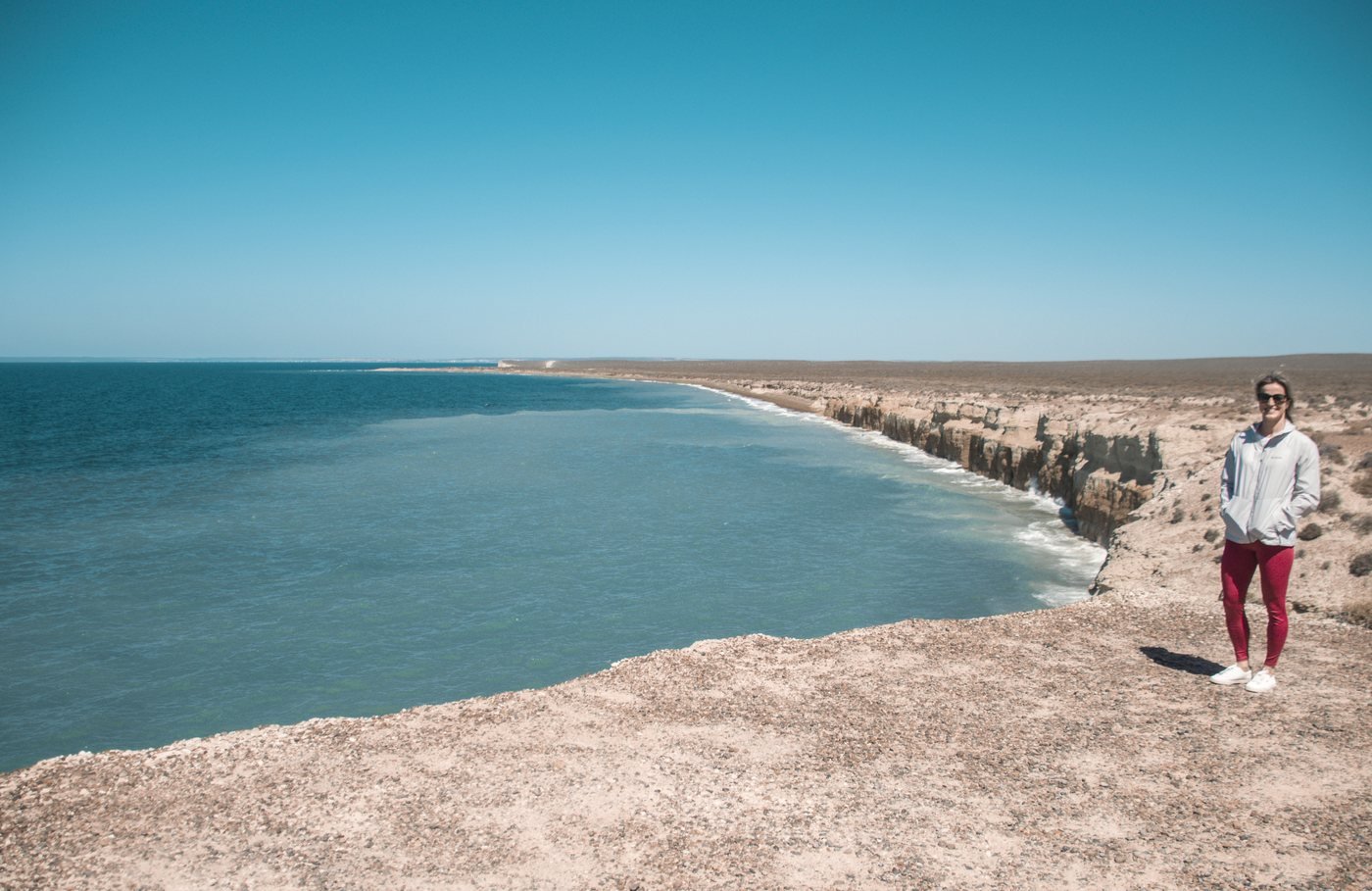 Colônia de pinguins ao longo da praia
